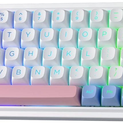 Redragon K709 PRO 65% Wireless Gasket RGB Gaming Keyboard, 68 Keys Hot-Swap Compact Mechanical Keyboard w/Free-Mod Socket, 5-Layer Noise Dampening & Round PBT Keycaps, Quiet Custom Linear Switch