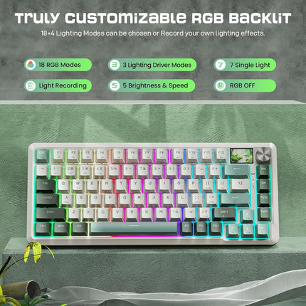 Redragon K708 Pro Wireless Mechanical Gaming Keyboard - Gasket-Mounted RGB Backlit, 81 Customizable Keys, 3-Mode (2.4G/Bluetooth/USB), Hot-Swap Pre-Lubed Switches, Screen & Control Knob - White Green - Redragon Jordan